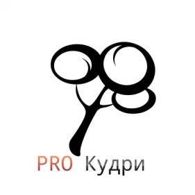 Pro Кудри