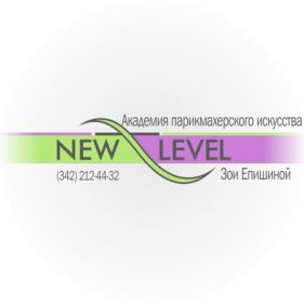Академия New Level
